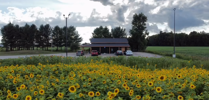 The Highway Dispos Standish storefront, summer afternoon, sunflowers along M-61.